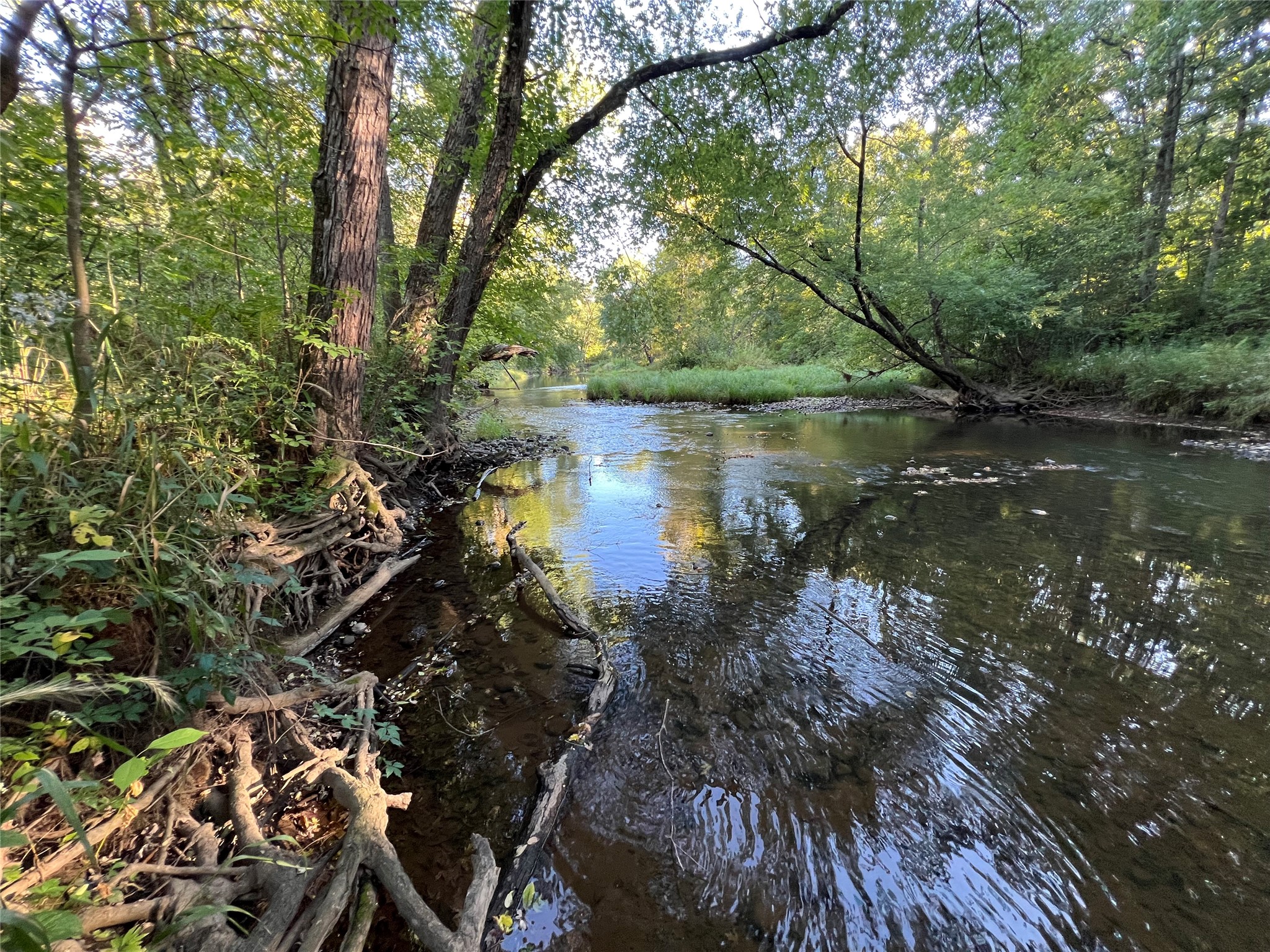 W10712 Popple River Road Property Photo 3