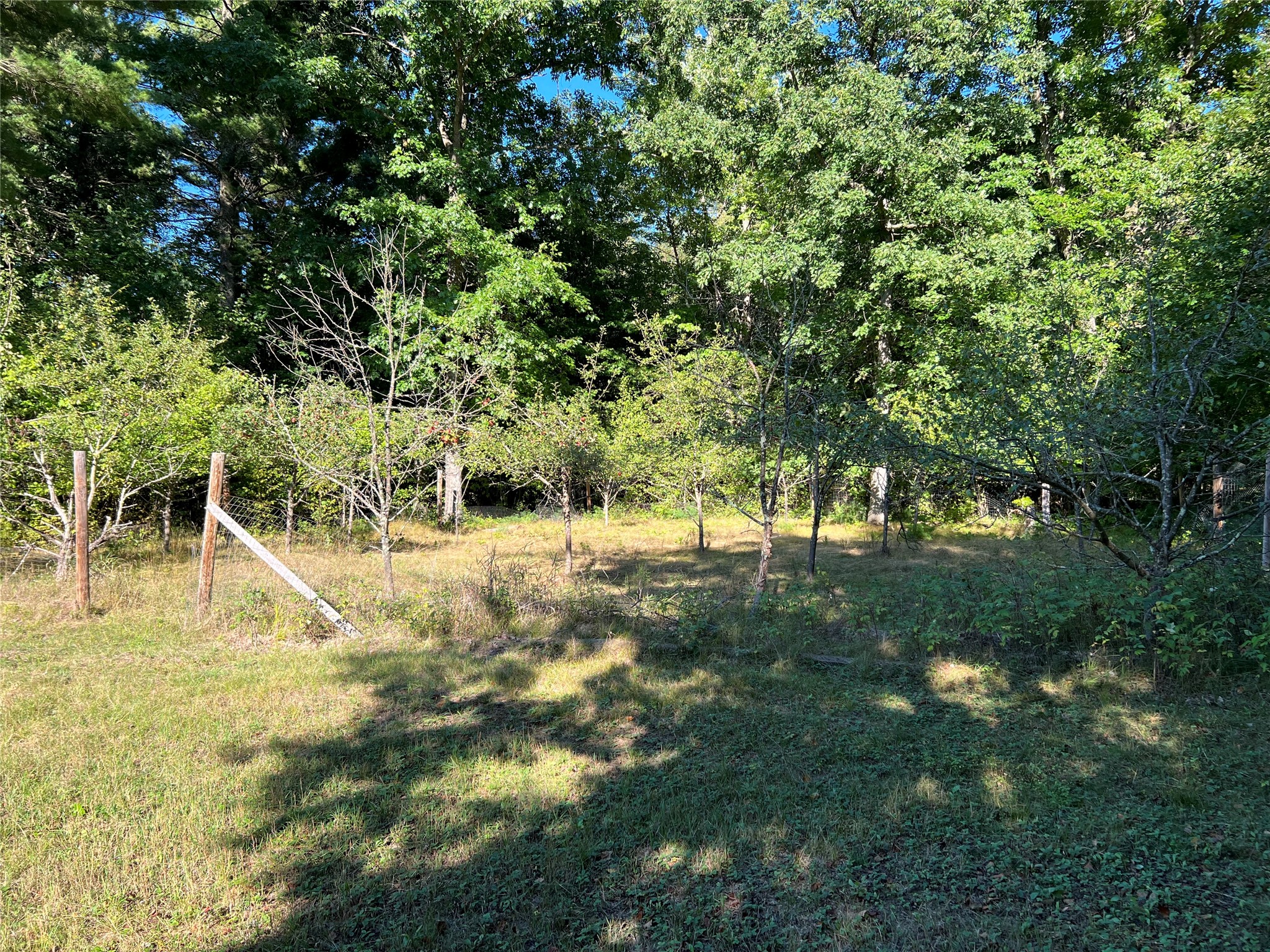 W10712 Popple River Road Property Photo 4