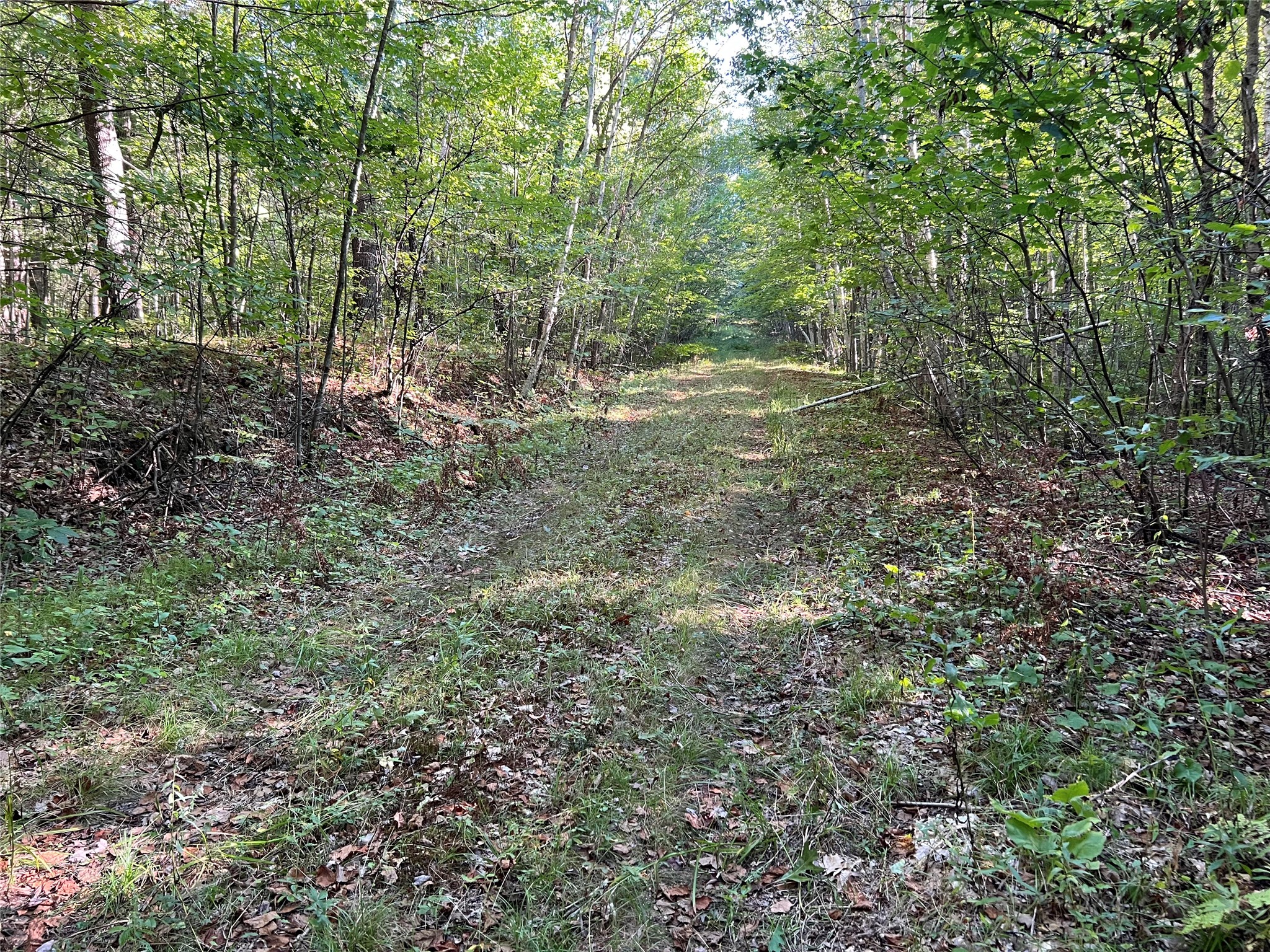 W10712 Popple River Road Property Photo 9