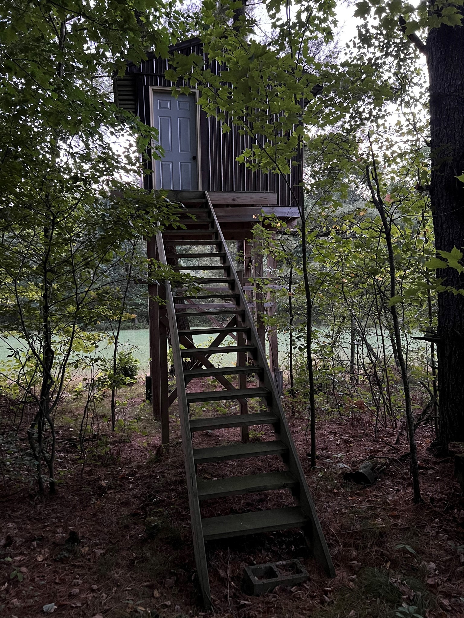 W10712 Popple River Road Property Photo 22