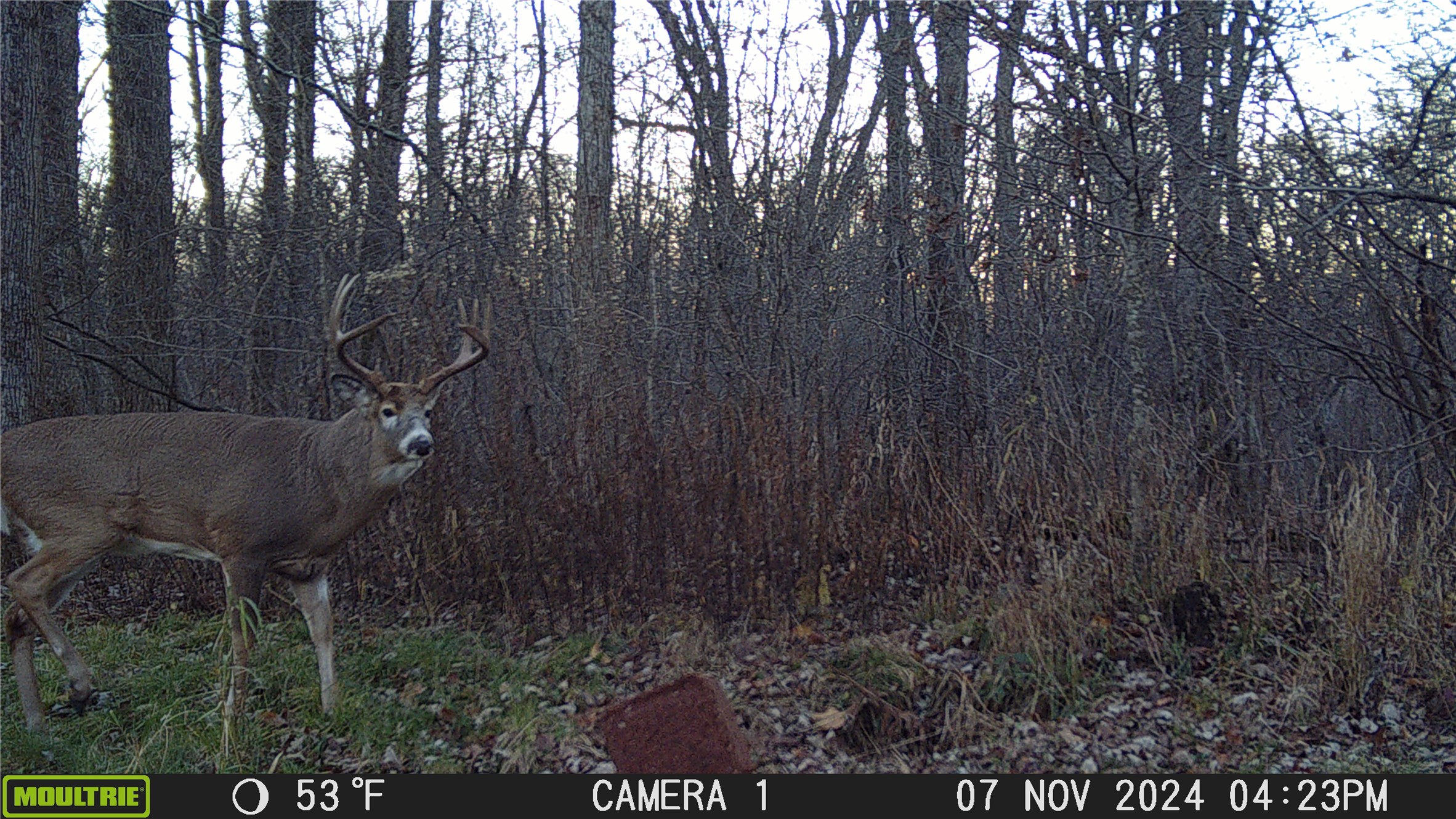 W10712 Popple River Road Property Photo 35