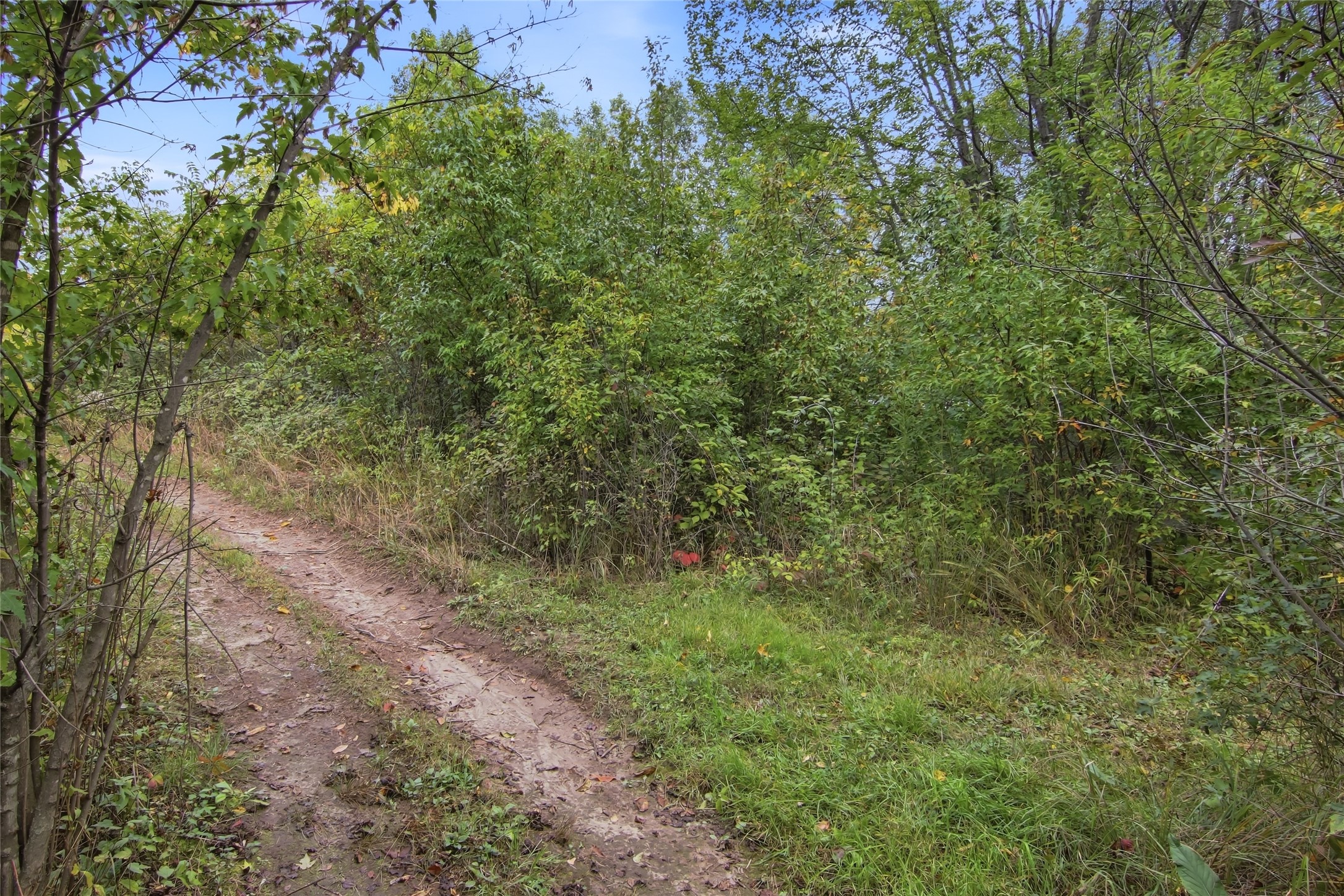 449 Komro Court Property Photo 46