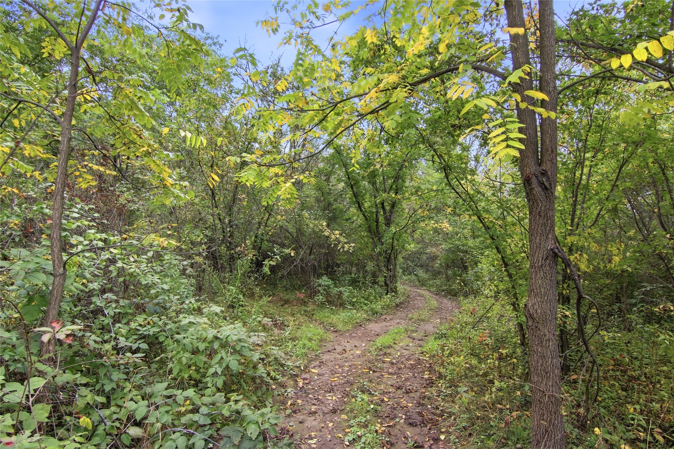 449 Komro Court Property Photo 47