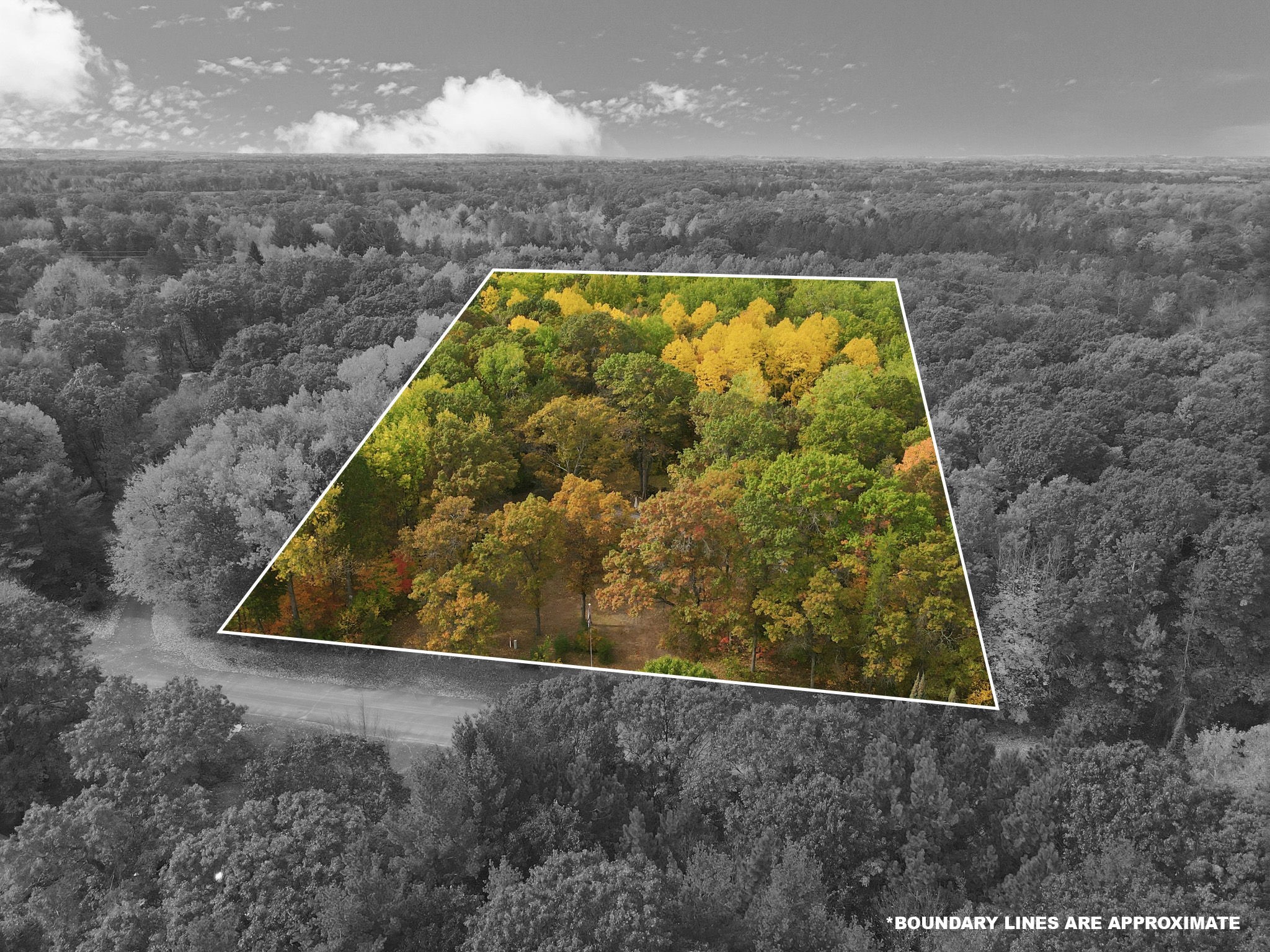 24771 Swede Road Property Photo 3