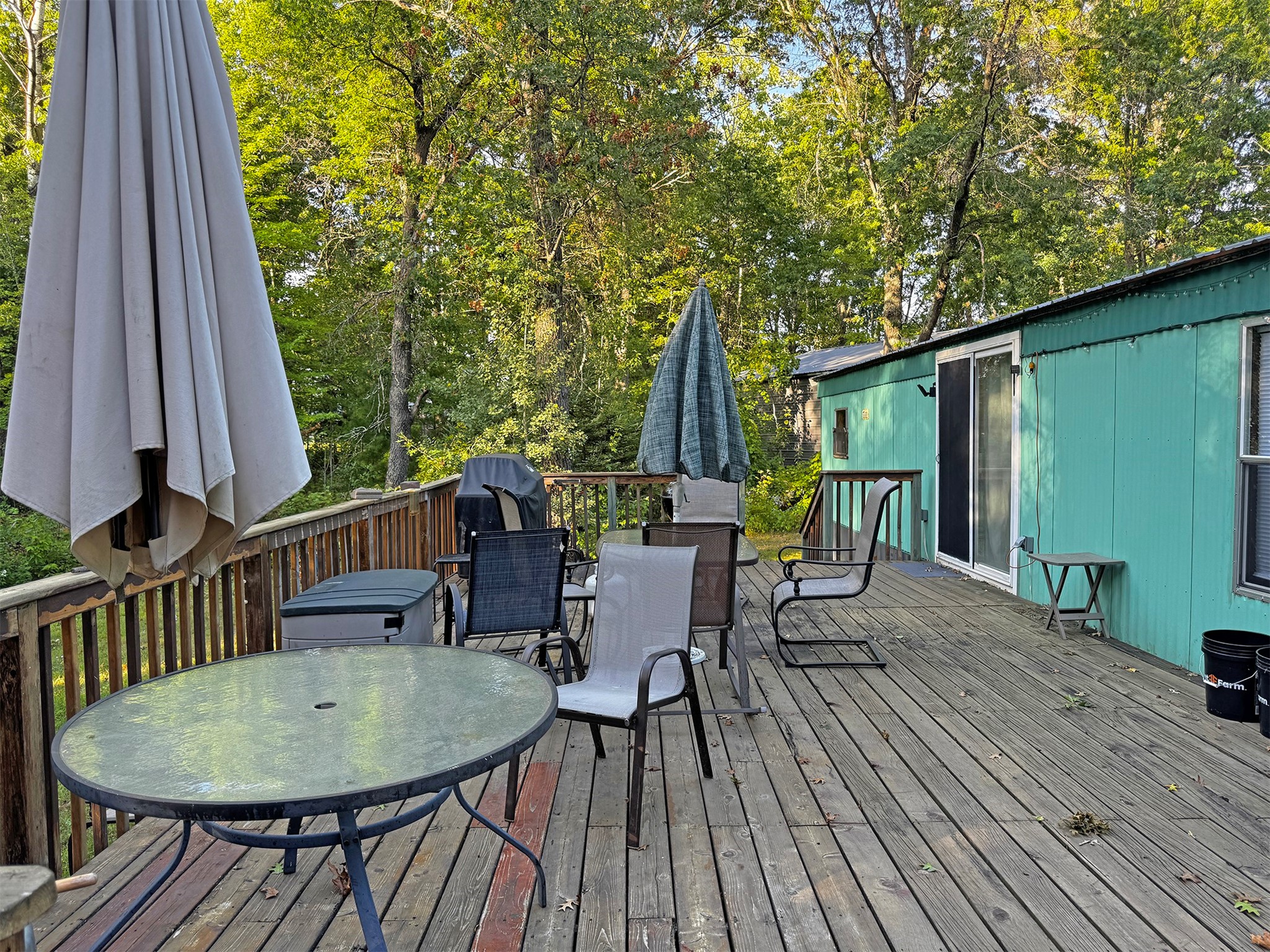 24771 Swede Road Property Photo 41
