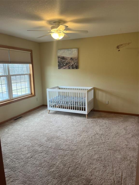 10881 34th Avenue Property Photo 40