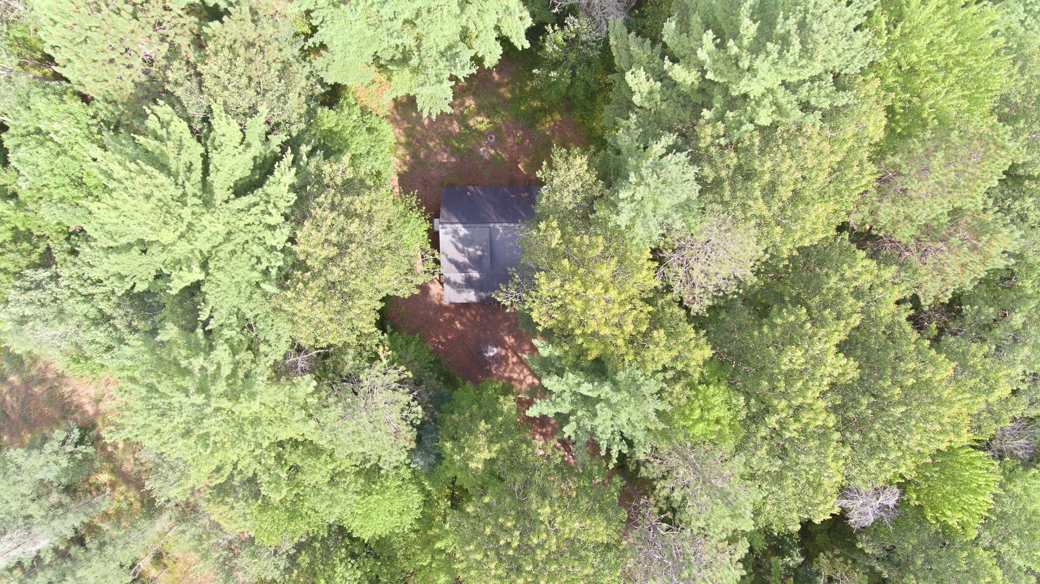 3801 Gaslyn Road Property Photo 28