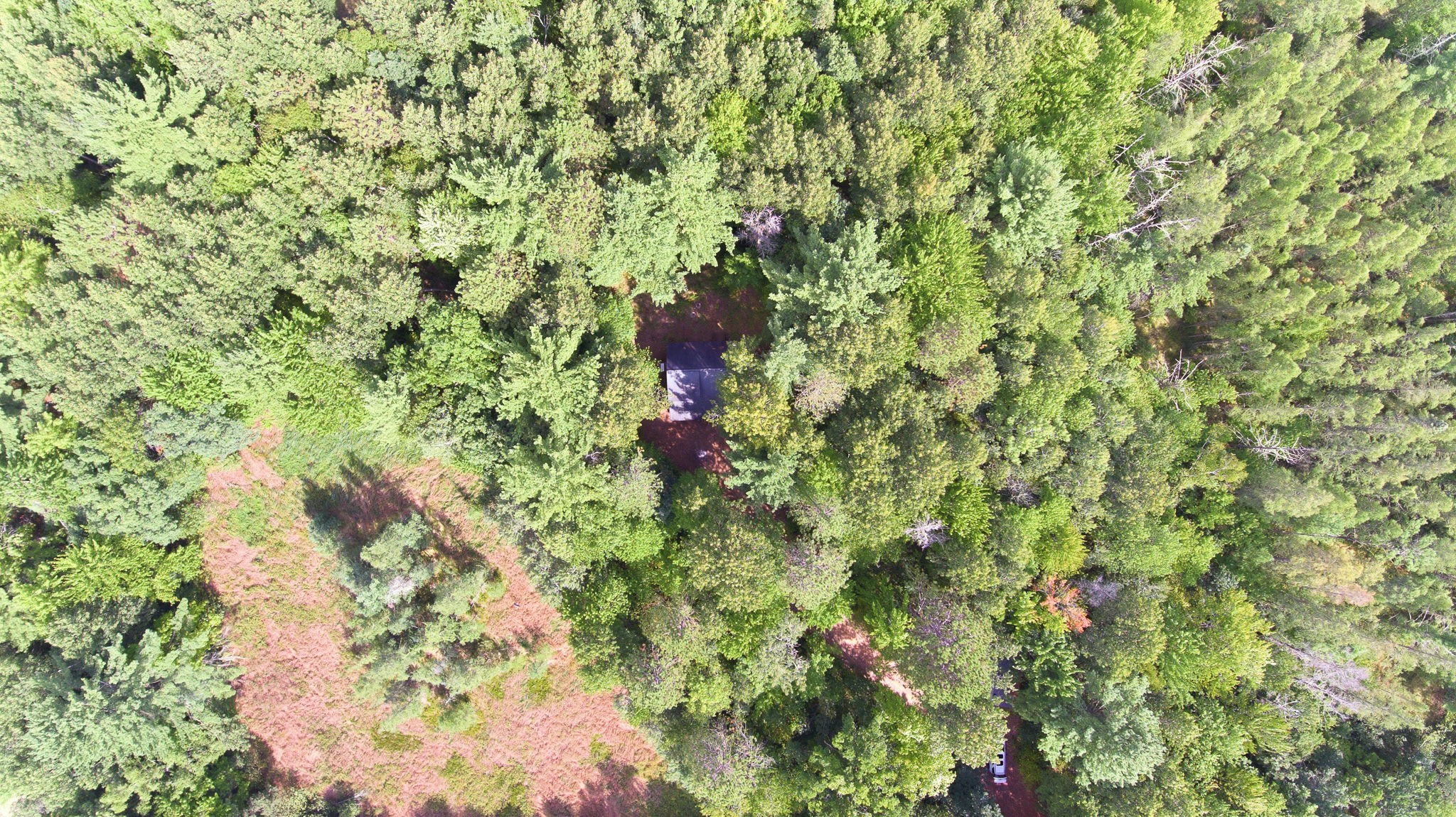 3801 Gaslyn Road Property Photo 29