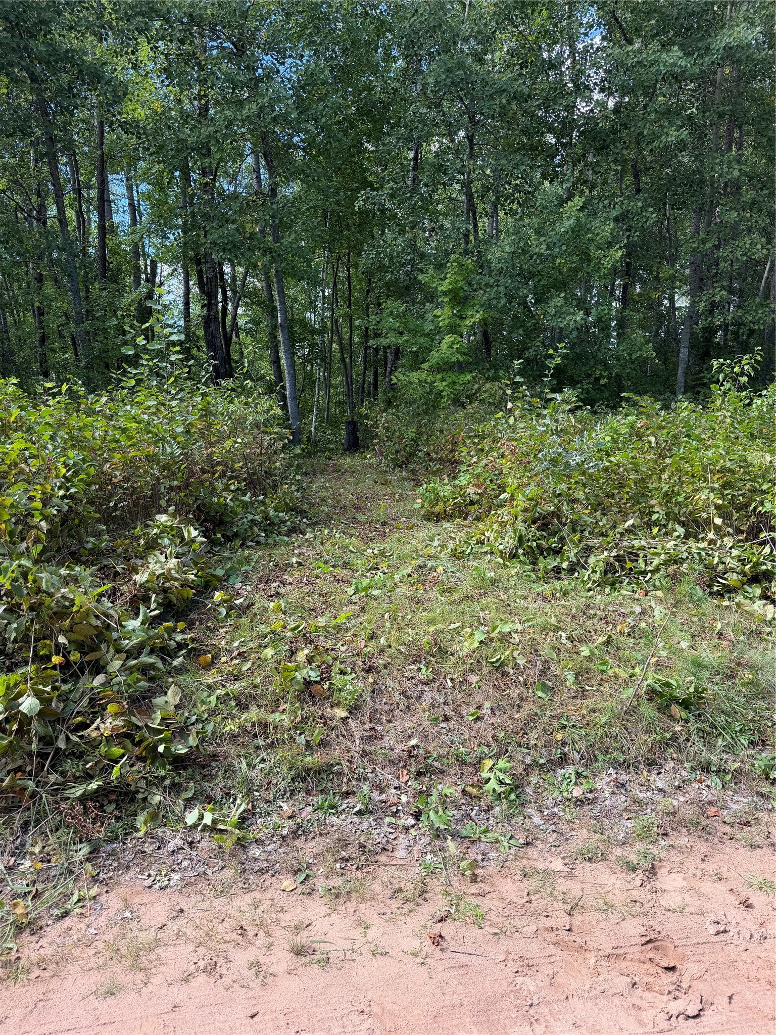 0 Shell Creek Road Property Photo 6