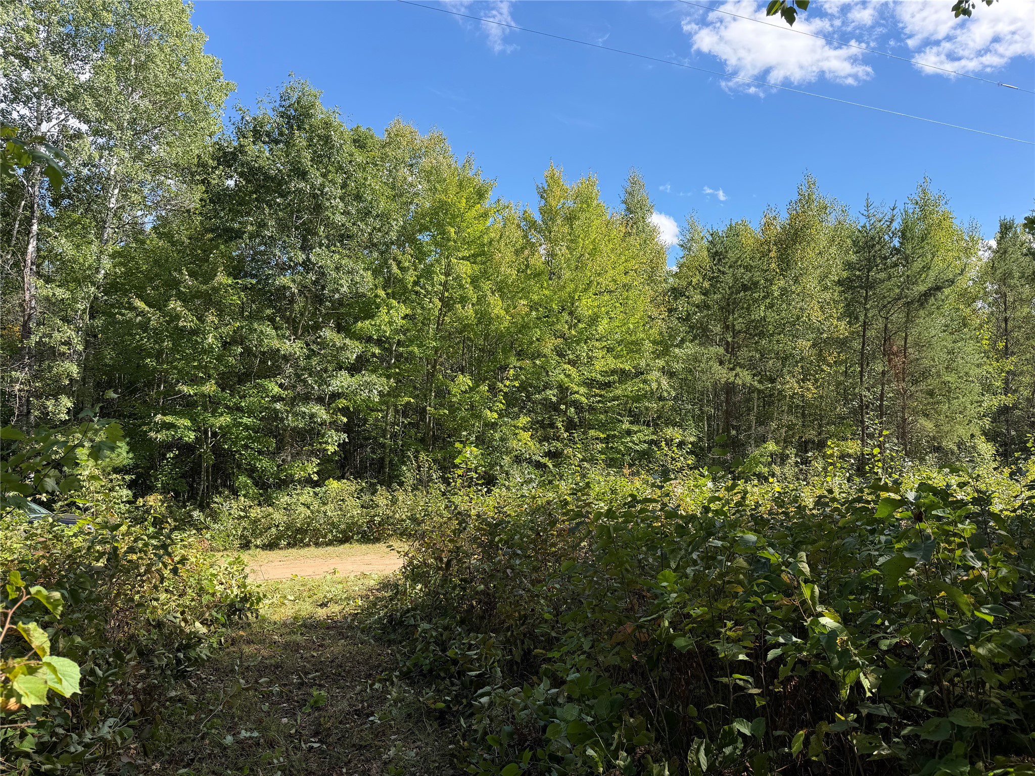 0 Shell Creek Road Property Photo 7