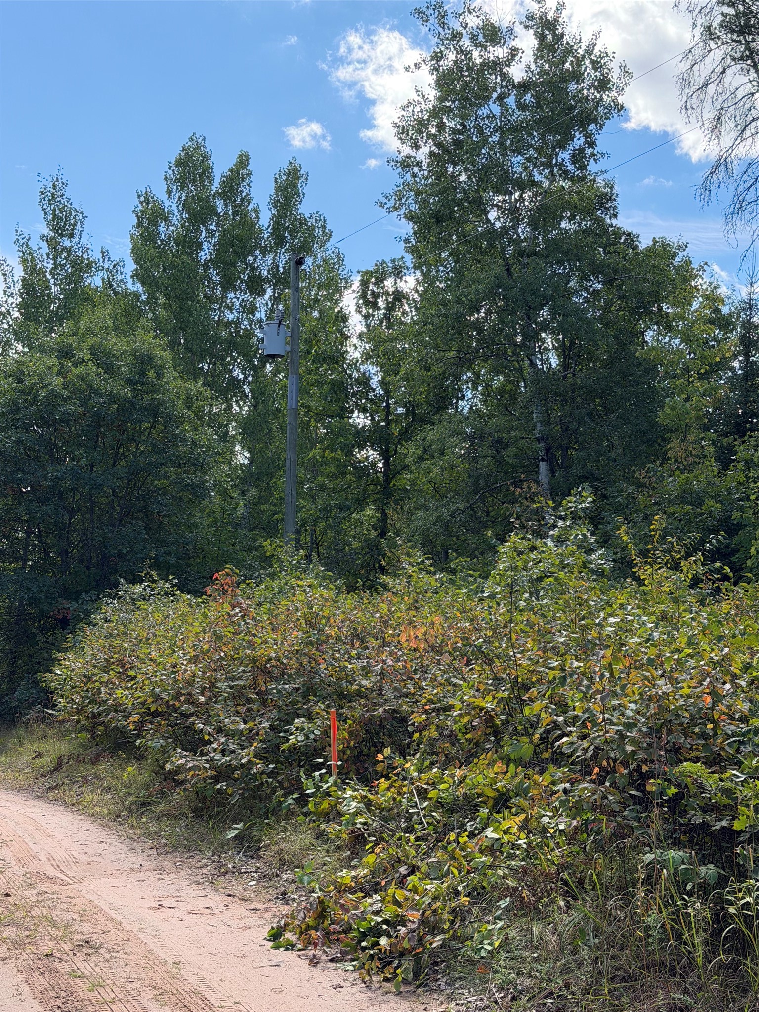 0 Shell Creek Road Property Photo 10