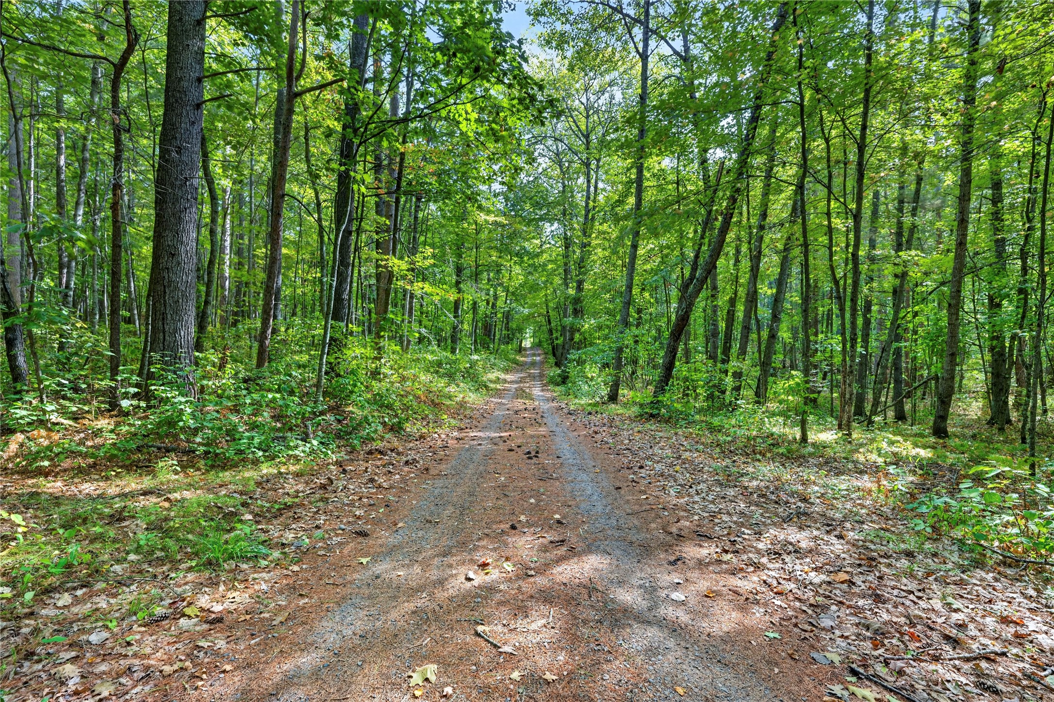 17305 Pioneer Road Property Photo 3
