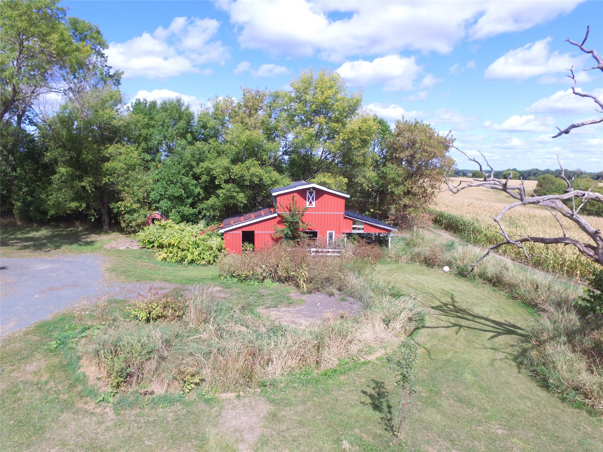12856 Bucklund Road Property Photo 22