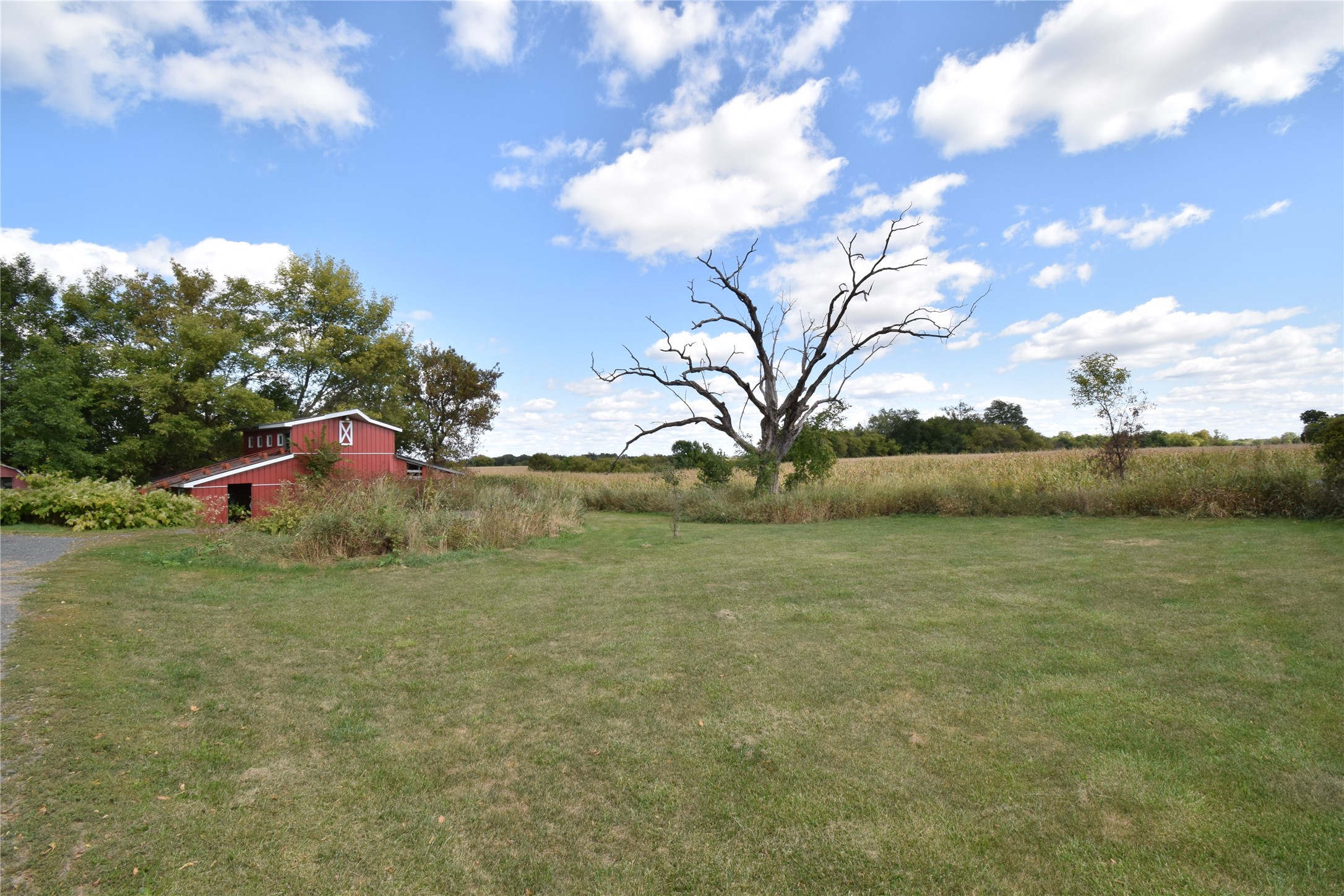 12856 Bucklund Road Property Photo 33