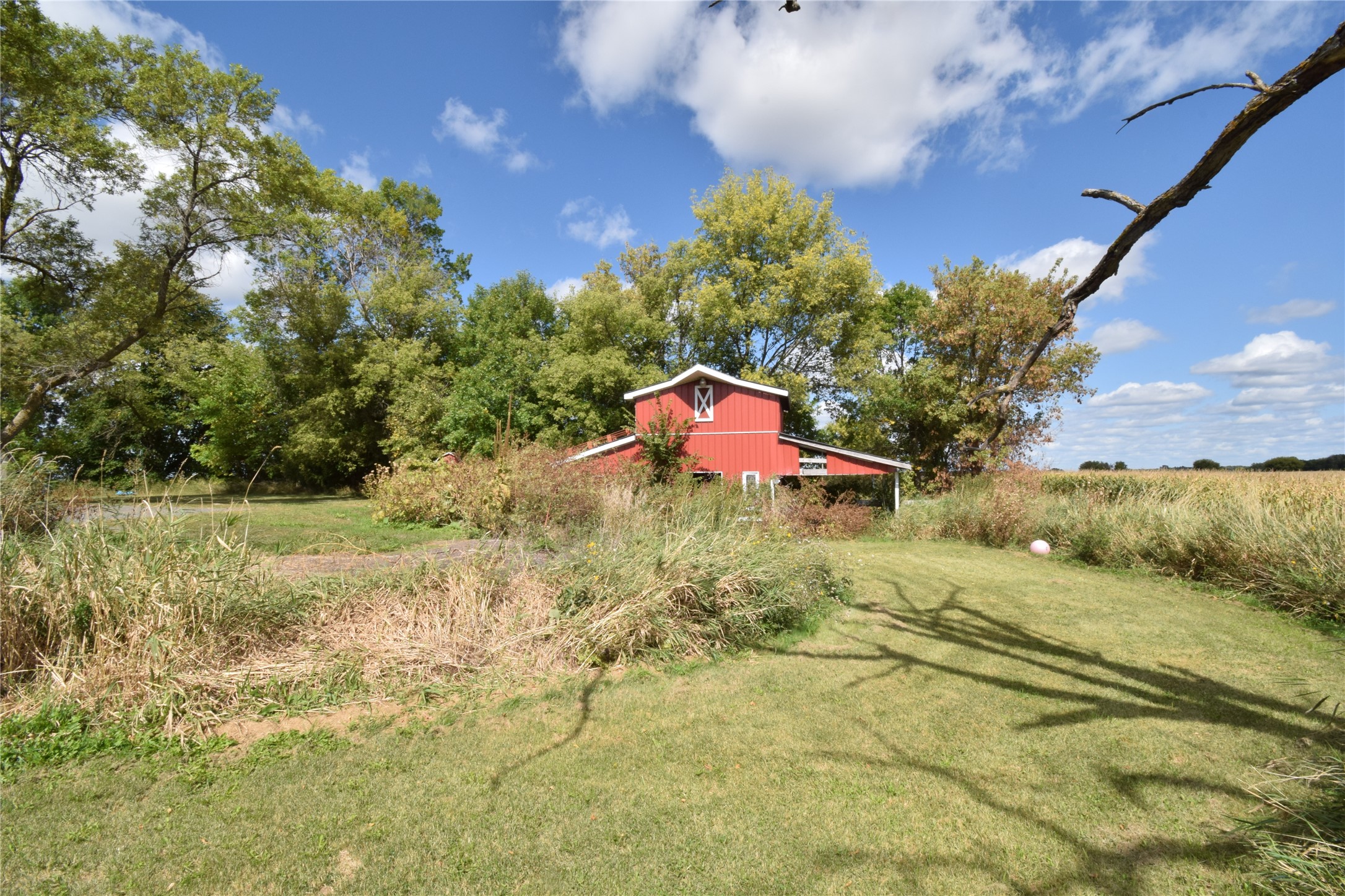 12856 Bucklund Road Property Photo 46