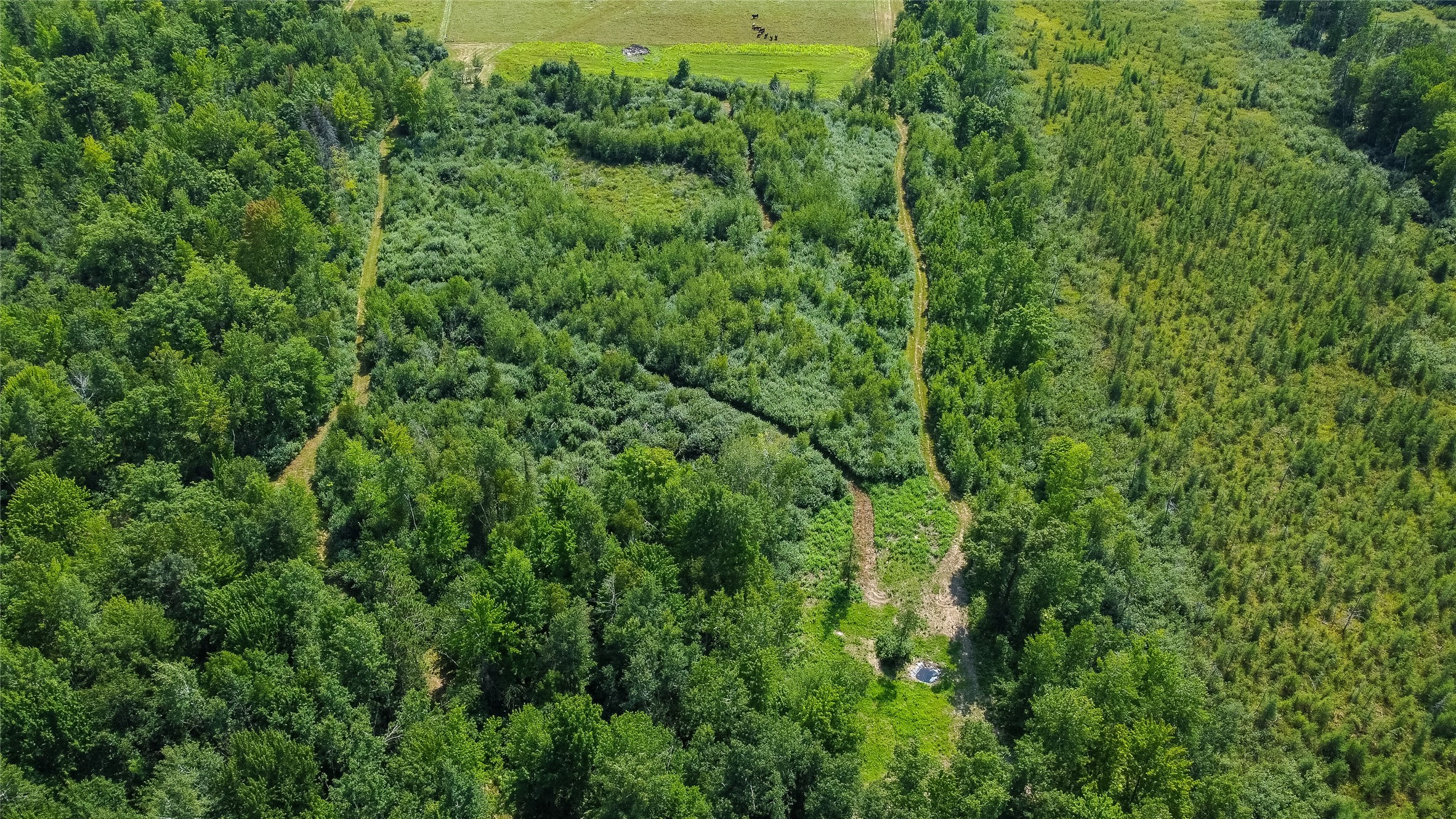W8946 Us Highway 8 Property Photo 1