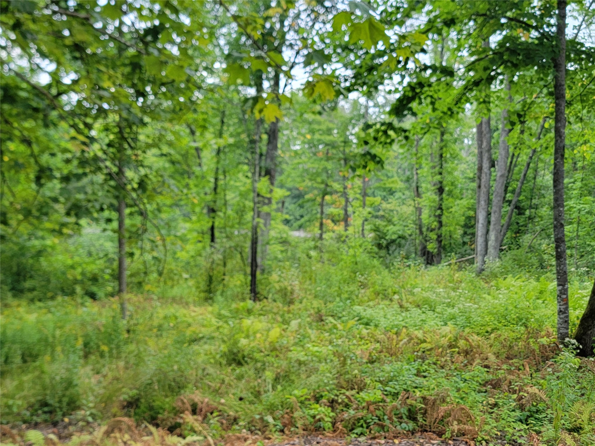 5522n County Highway G Property Photo 5
