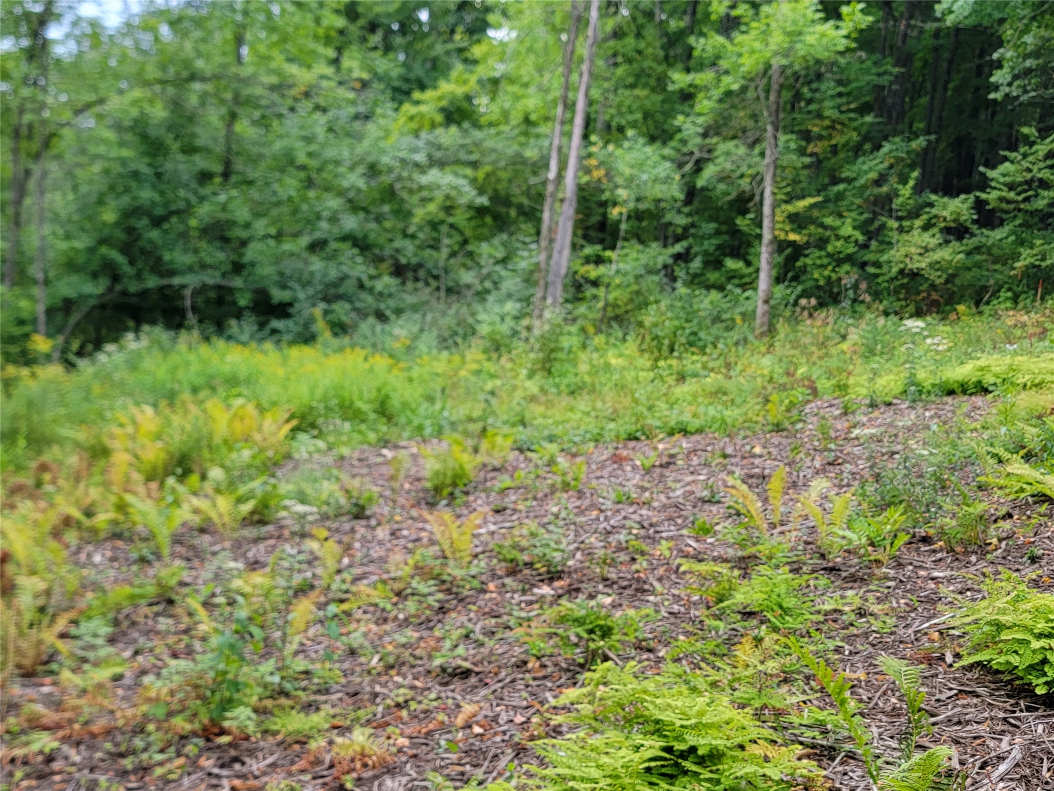 5522n County Highway G Property Photo 7