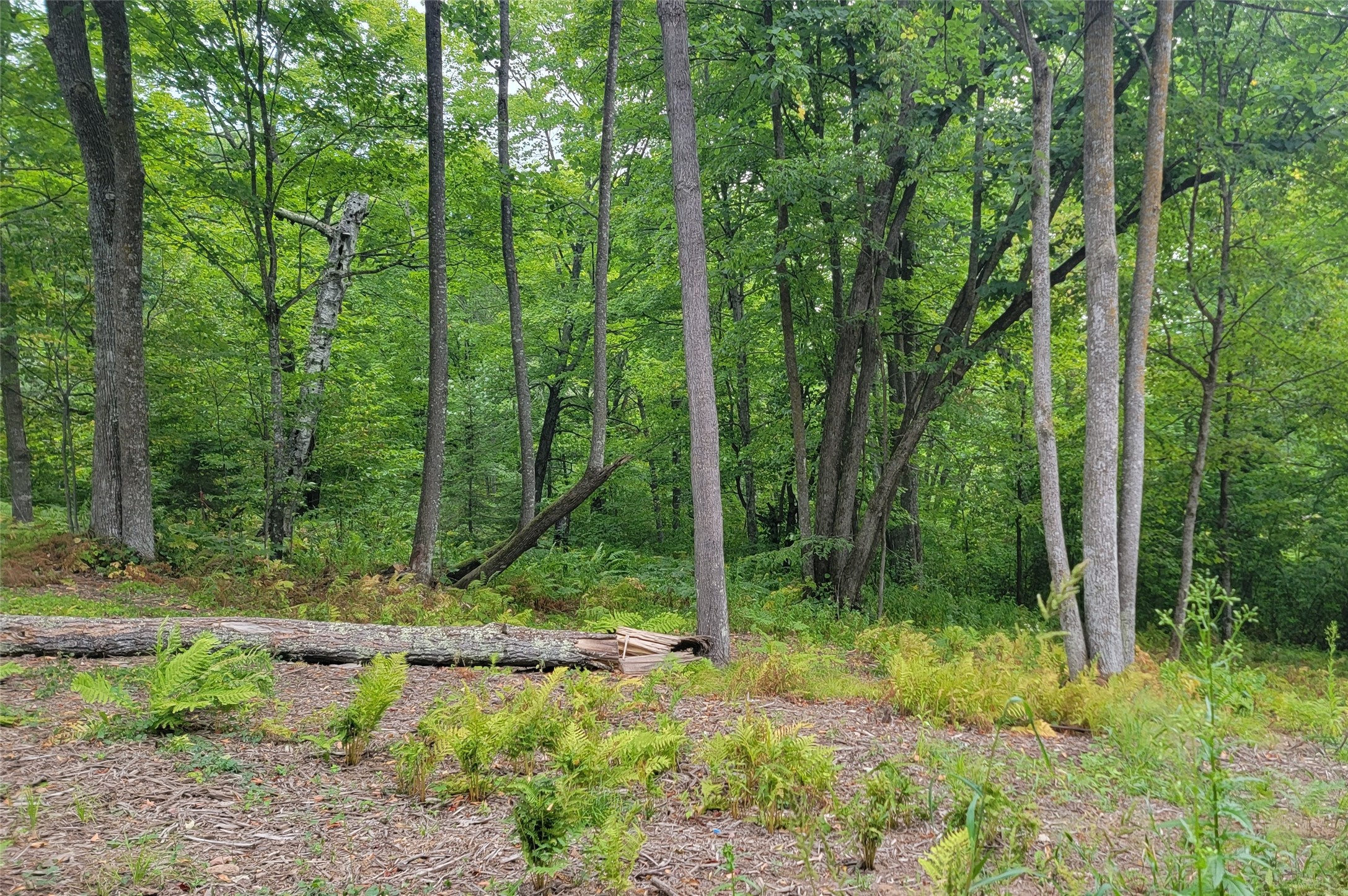 5522n County Highway G Property Photo 8