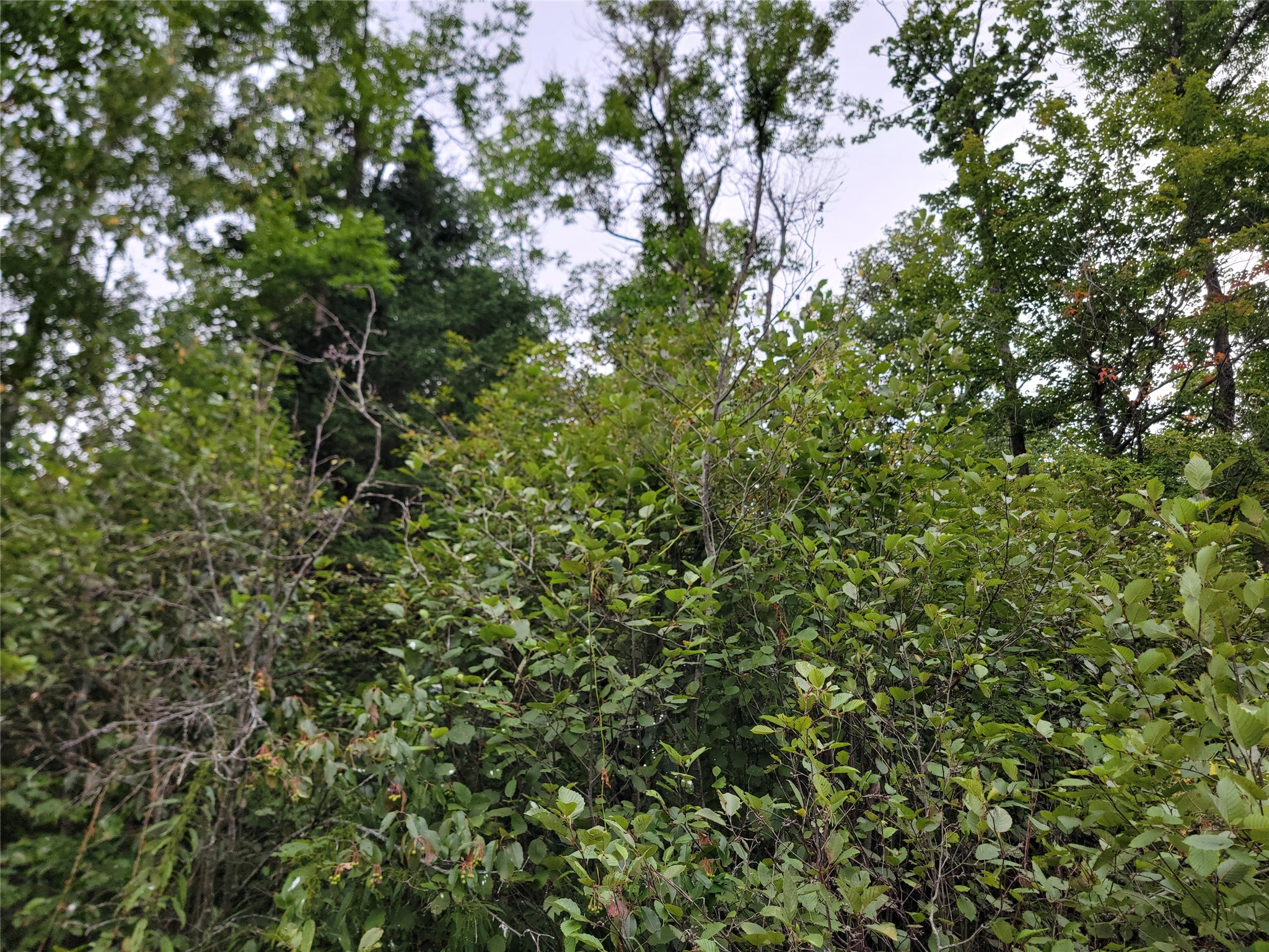 5522n County Highway G Property Photo 9