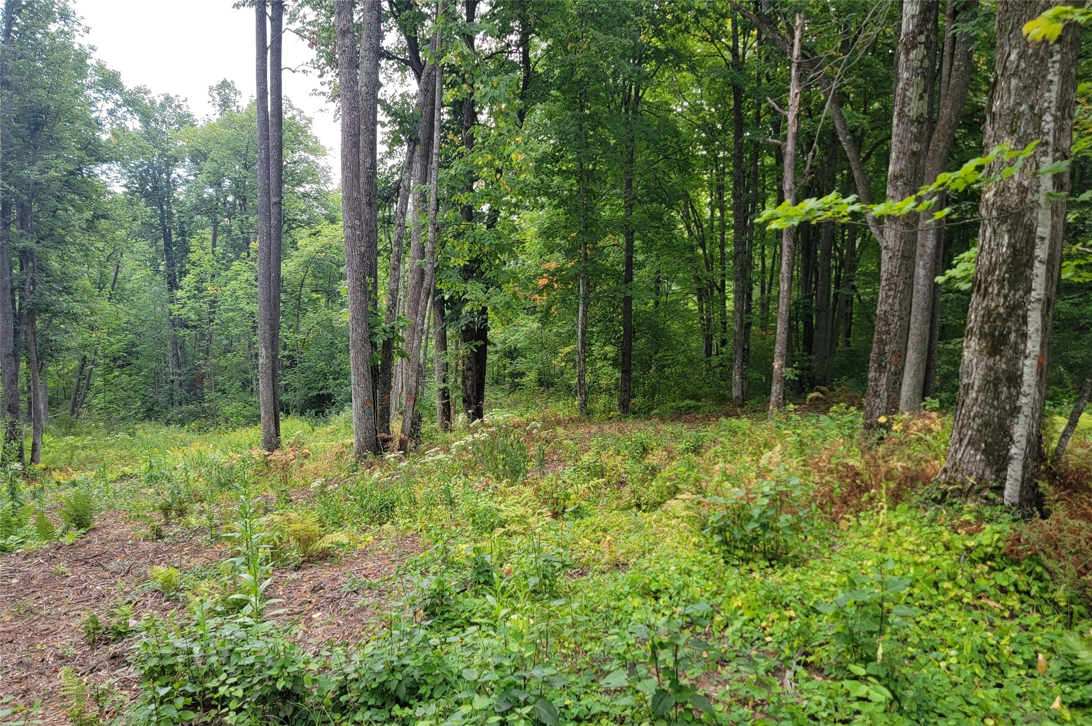 5522n County Highway G Property Photo 10