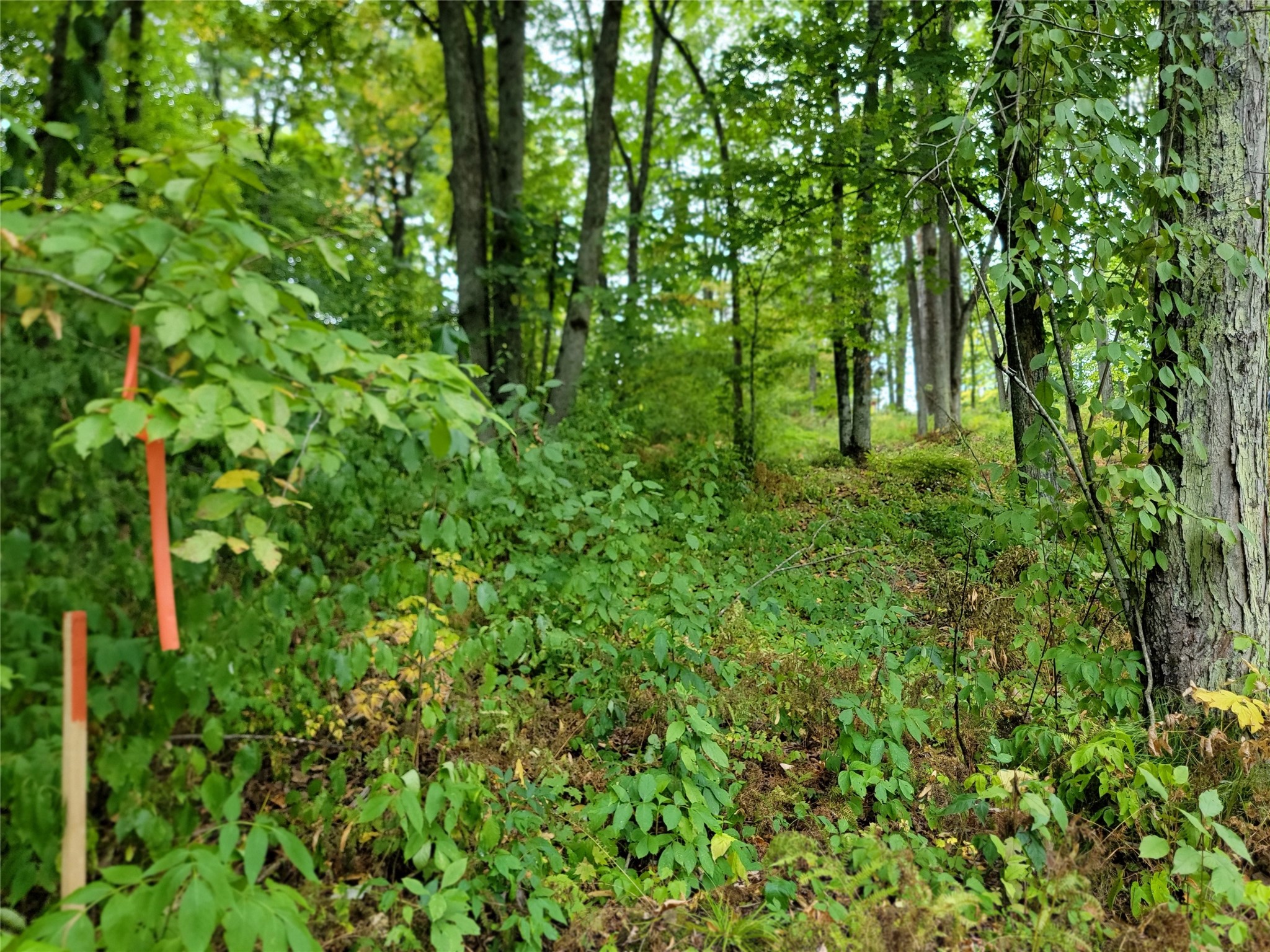 5522n County Highway G Property Photo 14