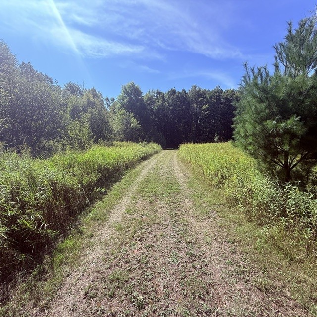 Tbd W Lilja Avenue Property Photo 2