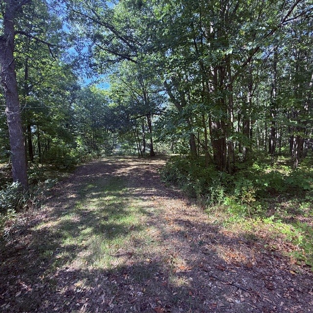 Tbd W Lilja Avenue Property Photo 3