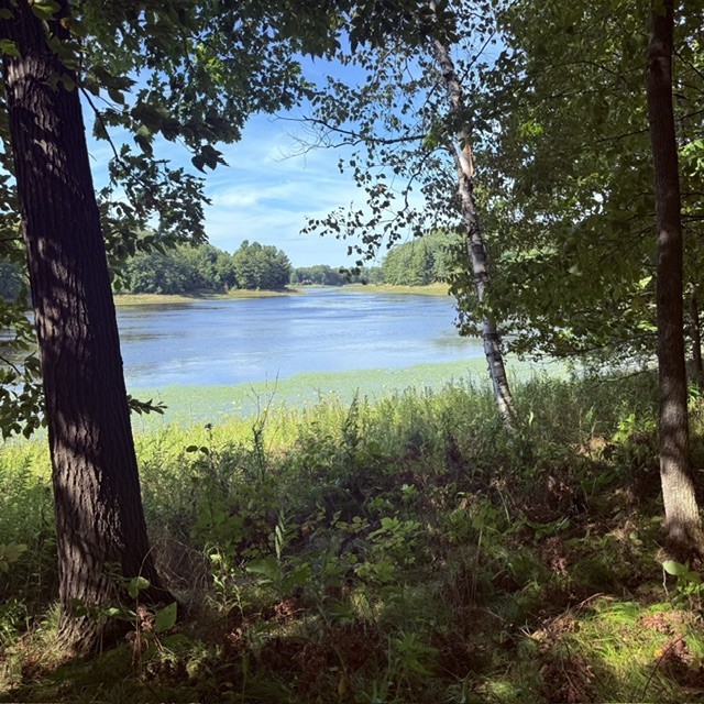 Tbd W Lilja Avenue Property Photo 4