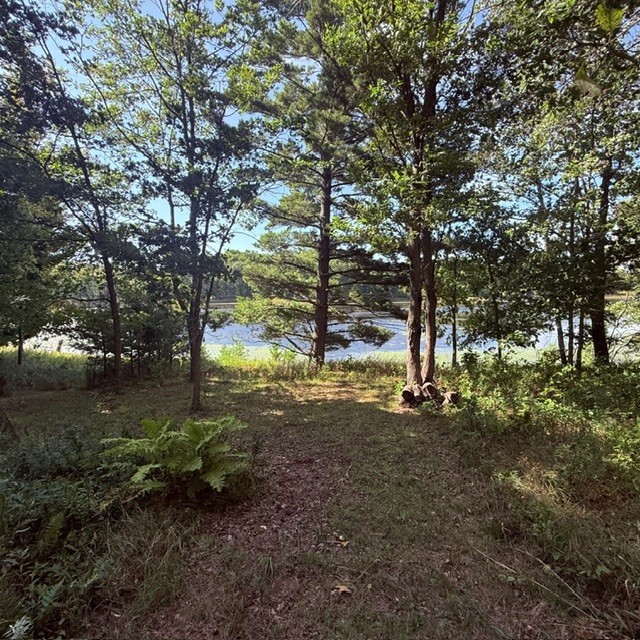 Tbd W Lilja Avenue Property Photo 5