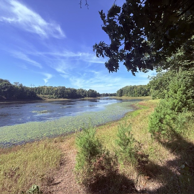 Tbd W Lilja Avenue Property Photo 7