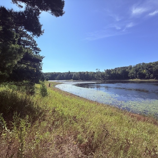 Tbd W Lilja Avenue Property Photo 9