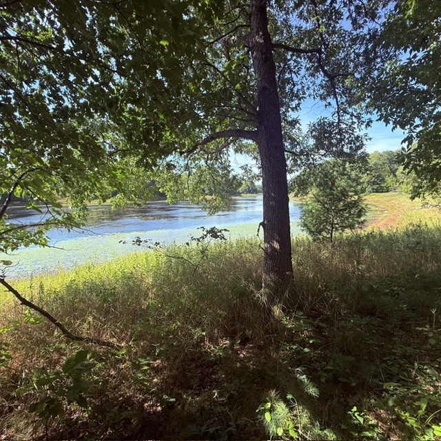 Tbd W Lilja Avenue Property Photo 10