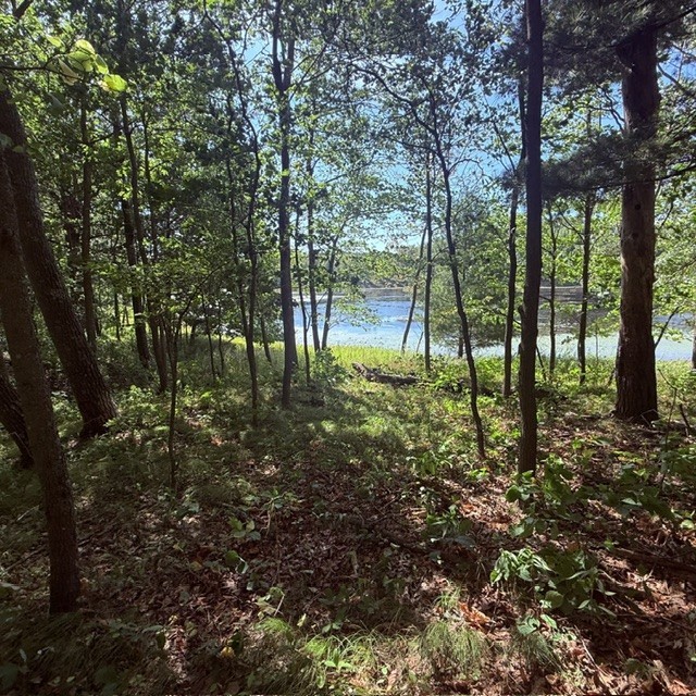 Tbd W Lilja Avenue Property Photo 11