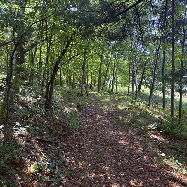 Tbd W Lilja Avenue Property Photo 12