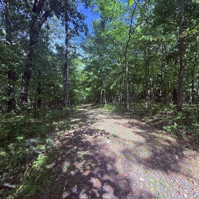 Tbd W Lilja Avenue Property Photo 13