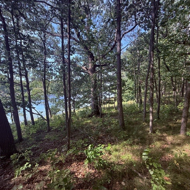 Tbd W Lilja Avenue Property Photo 15