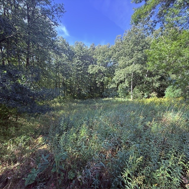 Tbd W Lilja Avenue Property Photo 16