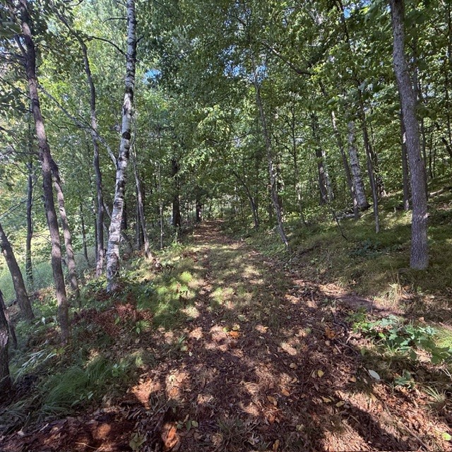 Tbd W Lilja Avenue Property Photo 17