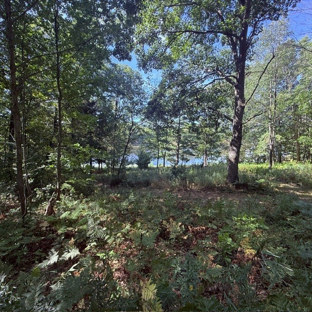 Tbd W Lilja Avenue Property Photo 19