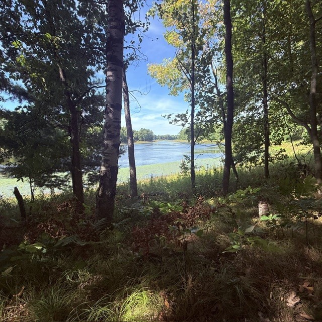 Tbd W Lilja Avenue Property Photo 20