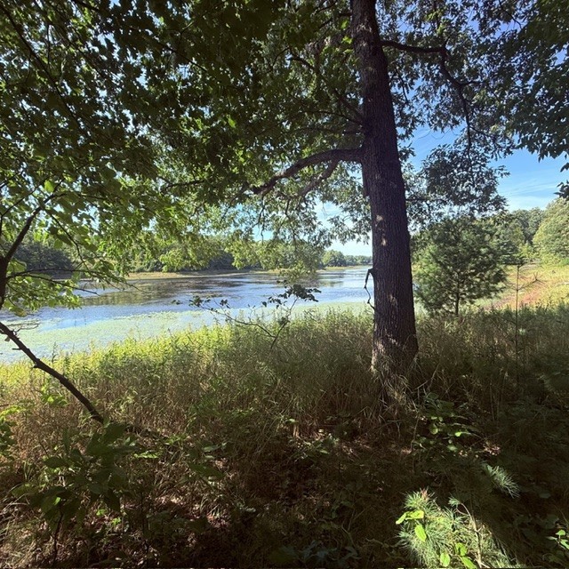 Tbd W Lilja Avenue Property Photo 21