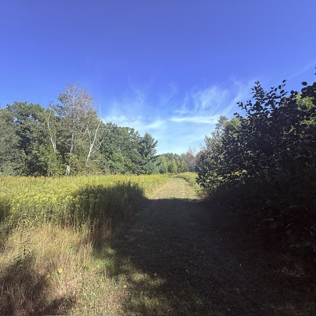 Tbd W Lilja Avenue Property Photo 22