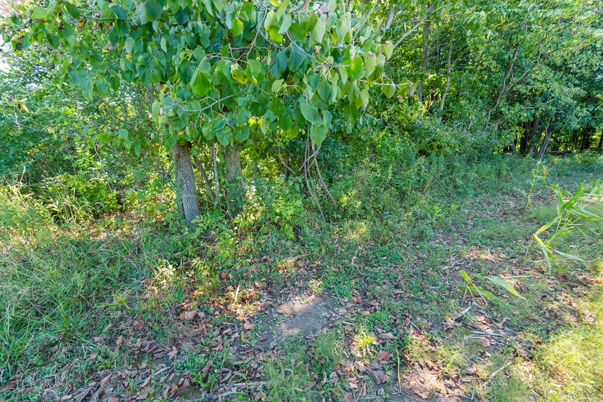 0 170th Street Property Photo 5