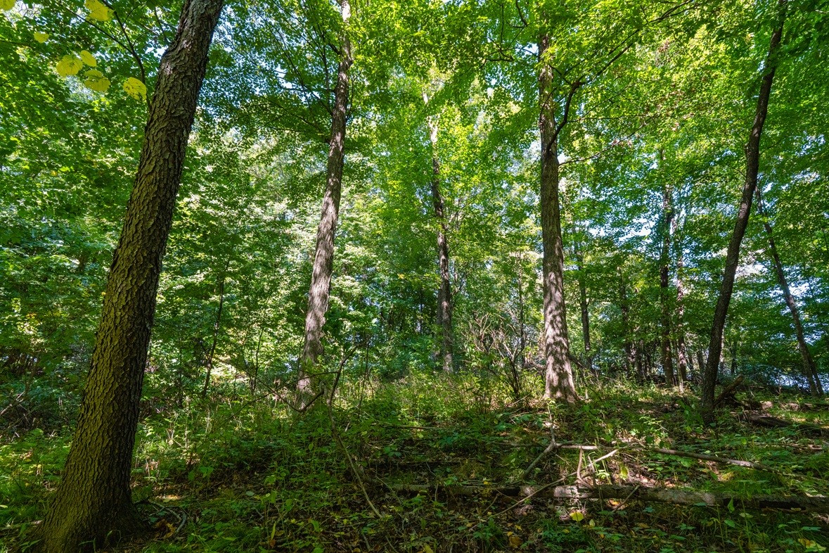 0 170th Street Property Photo 13