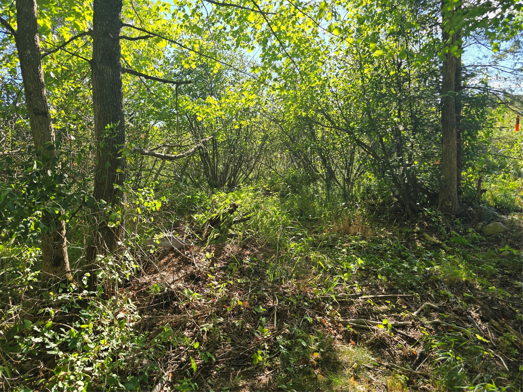 3547 N Ogden Road Property Photo 11
