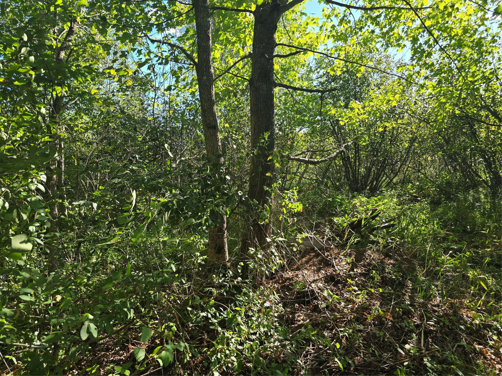 3547 N Ogden Road Property Photo 12