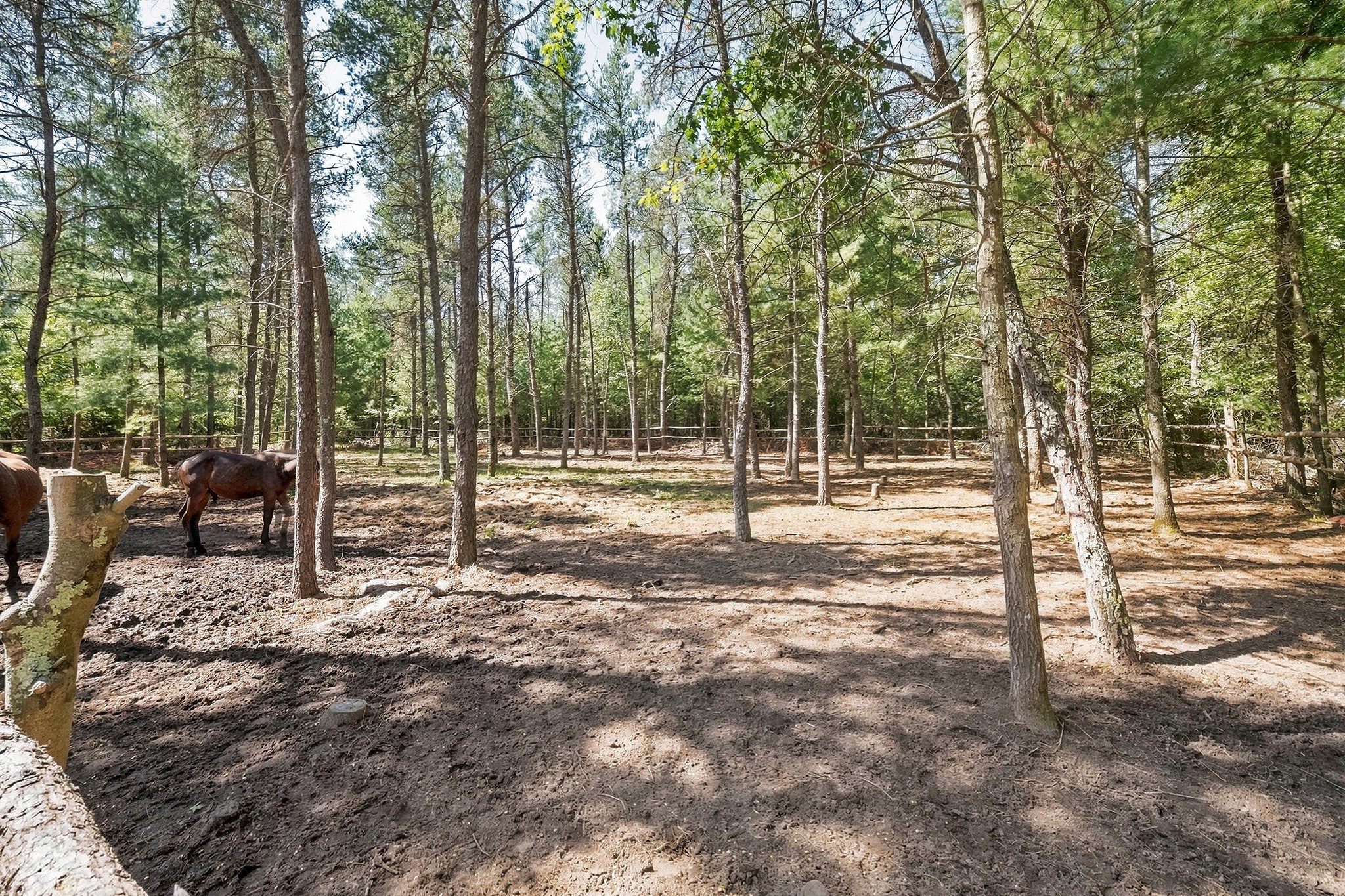 S10460 Black Creek Road Property Photo 36