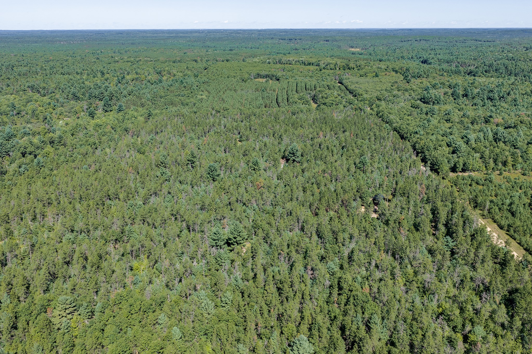 S10460 Black Creek Road Property Photo 45
