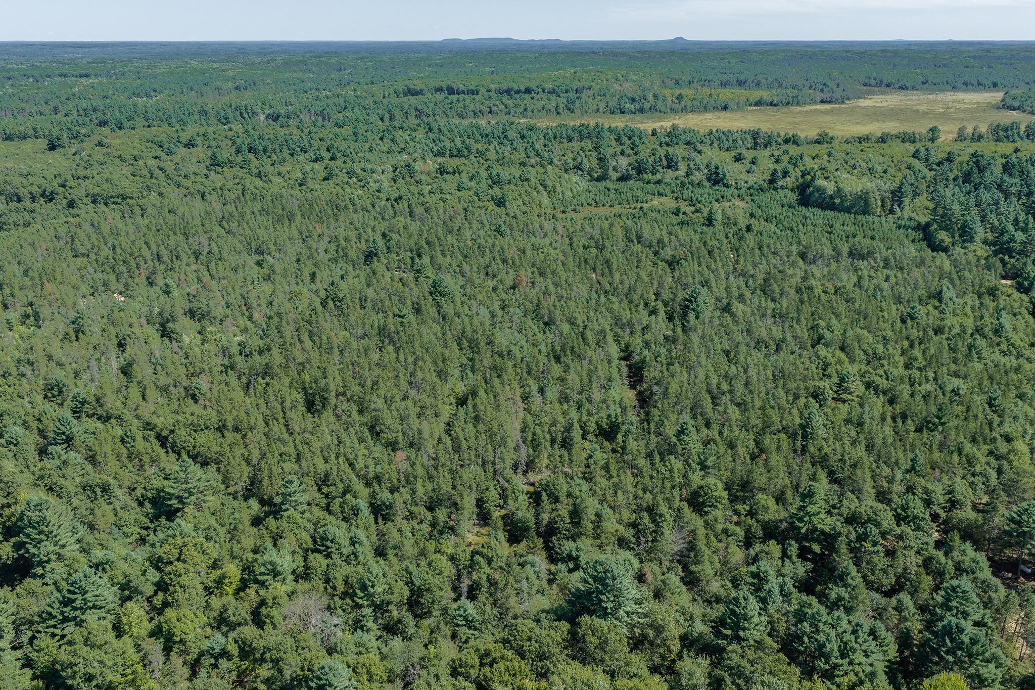 S10460 Black Creek Road Property Photo 47